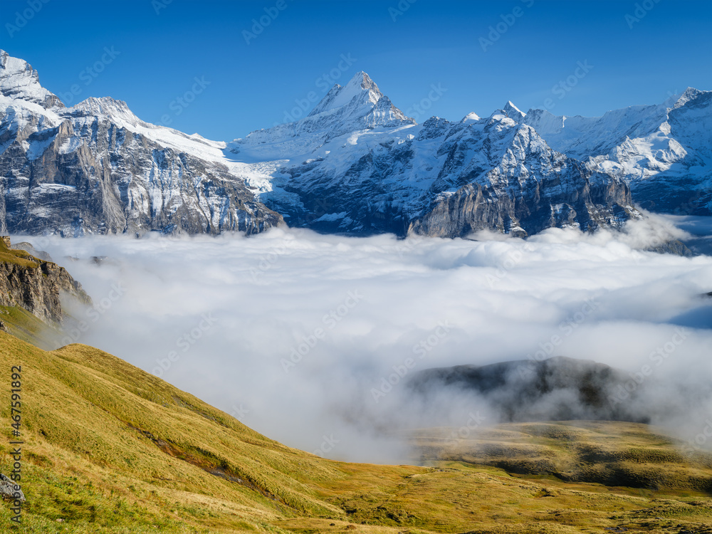 Canvas Prints mountains and clouds in the valley. natural landscape high in the mountains. mountain range through 