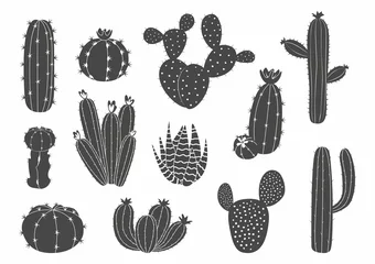 Foto op Canvas Black cactus. Western Mexican desert plant silhouette with blossom, exotic succulent artwork with thorns and flowers. Botanical blooming elements. Vector graphic isolated set © SpicyTruffel