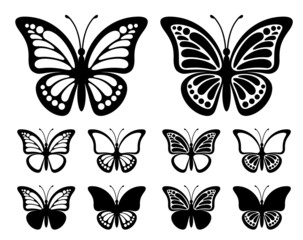 Fototapeta na wymiar Contours of butterflies with monarch wings