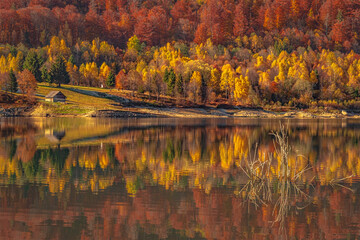 Poiana Marului Lake, Romania