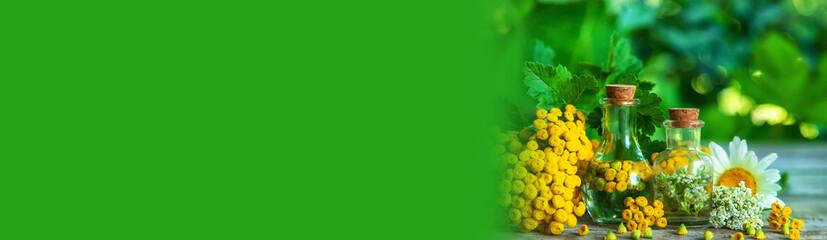 Tincture of herbs in a bottle. Selective focus.