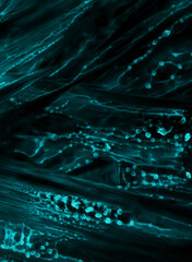 Abstract blue green network internet technology presentation background. Neon color on black, acrylic paints in water wallpaper