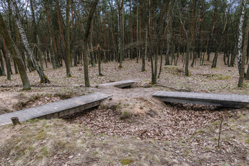 Paths in forest complex in Bialoleka border district of Warsaw, Poland