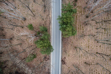 Drone photo of empty road in forest complex in Bialoleka border district of Warsaw, Poland