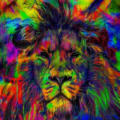 Poster Colorful artistic lion muzzle with bright paint splatters on dark background  © reznik_val