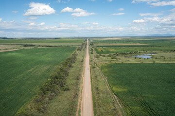A country road among the fields, a car is driving along it.