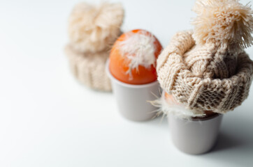 Fresh free range eggs with natural feathers in egg cups, eggs in woolen caps