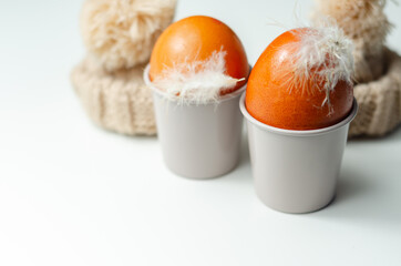 Fresh free range eggs with natural feathers in egg cups, eggs in woolen caps