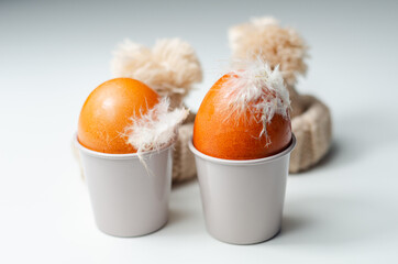 Fresh free range eggs with natural feathers in egg cups, eggs in woolen caps