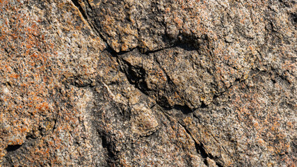 Texture of granite rock. Cracked stone surface from weathering. Close up of granite surface. Earth color concept