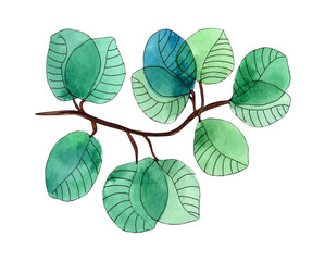 Watercolor green leaves, hand painted greenery illustration.