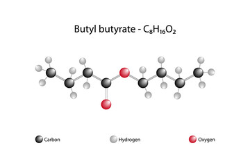 Molecular formula of butyl butyrate. Butyl butyrate, or butyl butanoate, is an organic compound that is an ester formed by the condensation of butyric acid and n-butanol.