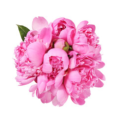 bouquet of pink peonies isolated