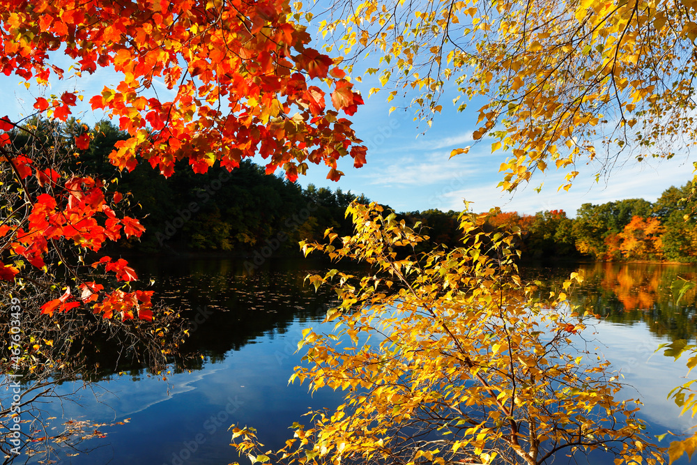 Wall mural beautiful new england fall foliage with reflections at sunrise, boston massachusetts.