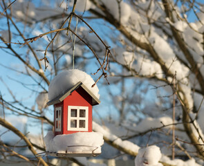 bird feeder in the park on a tree in winter in the snow.