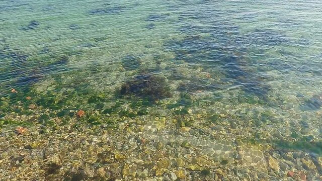 Water is clear sea, rocks and algae on bottom, excitement on surface.