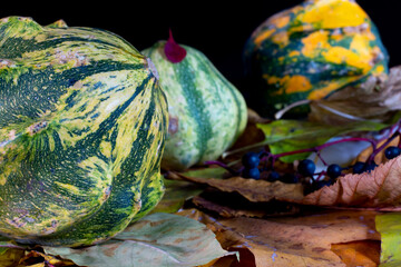 Autumn still life with a decorative green striped pumpkin in the foreground, with fallen leaves, pumpkins, berries in the background, on a black background. Close-up.