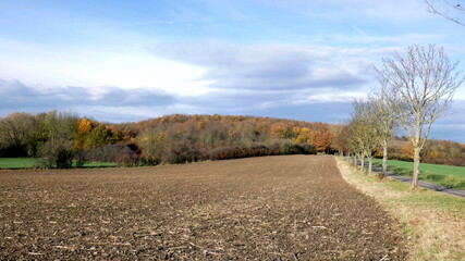 Fototapeta premium Herbstmotive im Wald, in der Natur, auf dem Feld, mit Vögeln, Ortschaften und Gebäuden, Blattwerk, Laub und viel Farbe.