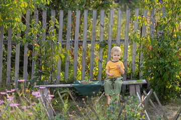 Naklejka na ściany i meble Life in the village.A boy is sitting on a wooden bench