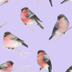 Bullfinches seamless pattern. Watercolor winter birds. Symbol of winter, new year, christmas. Watercolor illustration of a bullfinch, for design, wrapping paper.