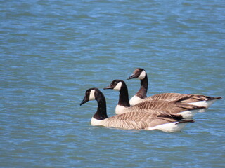 in a beautiful line we always look amazing