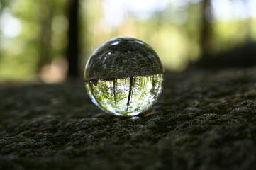 Glaskugel liegt auf Felsen im Wald