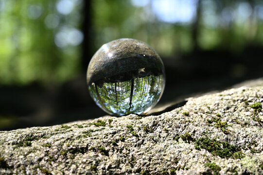 Glaskugel Kristallkugel liegt auf Felsen im Wald