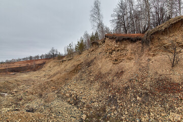 Fototapeta premium Dry trees on a steep slope. Steep high ravine