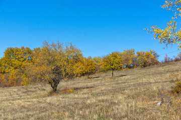 Autumn landscape of Cherna Gora (Monte Negro) mountain, Bulgaria