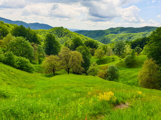 landscape in the mountains, Bulzului Meadow, Buila Vanturarita Mountains, Romania 