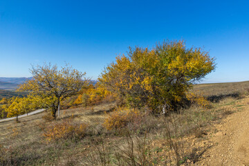Fototapeta na wymiar Autumn landscape of Cherna Gora (Monte Negro) mountain, Bulgaria