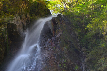 西丹沢の大棚の滝口