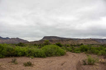 Texas Landscape