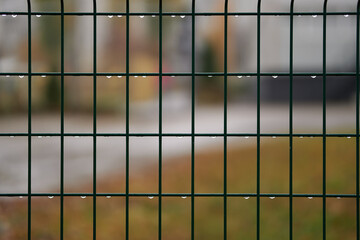 welded wire mesh fence close up covered with rain drops. Blured yard background