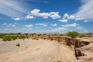 Desert Landscape