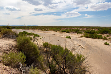 Desert Landscape