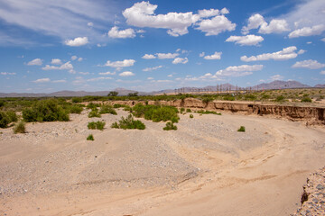 Desert Landscape