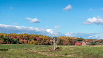 Rustic Old Red Barn in a Grassy Meadow on a Maryland Farm during Autumn with Vivid Fall Colors