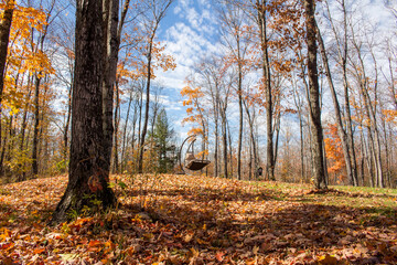 Fall Landscape Across Quebec, Canada