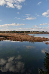 Fototapeta premium Country