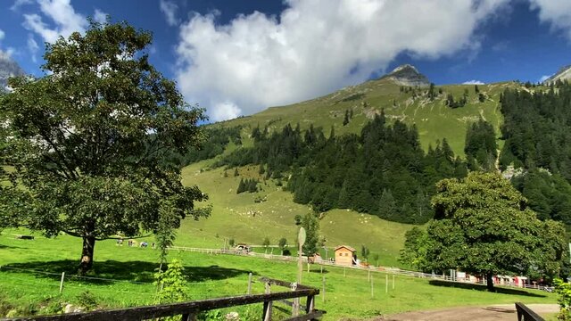 Eng Alm, Karwendel mountains in Tirol. European Alps Austria. 4K