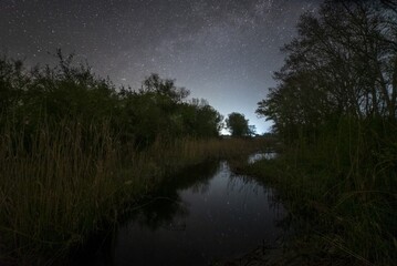 reflection in water