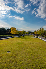 Obraz premium 昭和記念公園