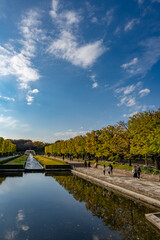 Fototapeta premium 昭和記念公園