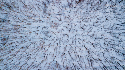 Sikhote-Alin Biosphere Reserve in winter. View from above. Picturesque nature and forest in the...