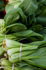 Bok choy for sale.