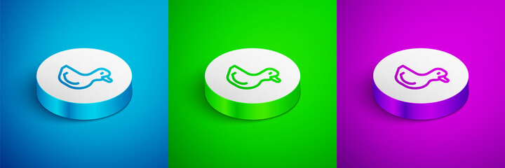 Isometric line Rubber duck icon isolated on blue, green and purple background. White circle button. Vector