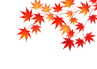 紅葉、もみじ、秋の風景