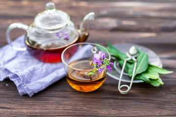 cup of herbal tea with fresh leaves and flowers Matthiola incana, Brompton stock, common stock, hoary stock, ten-week stock, and gilly-flower tea with fresh quotes, which can give an antiseptic effect