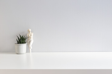 Houseplant  and woman figurine near grey wall background. Copy space. Mock up.